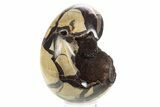 Septarian Dragon Egg Geode - Sparkly Black Crystals #329489-1